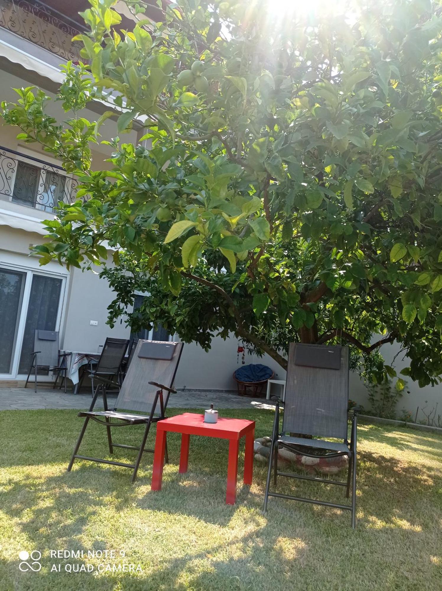 네아 스키오니 Fotini'S House 아파트 외부 사진