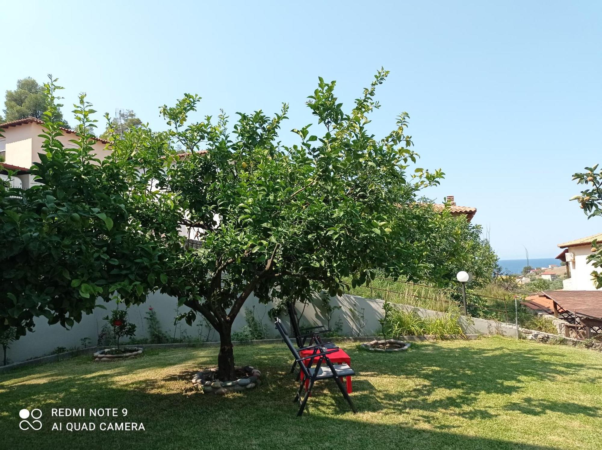 네아 스키오니 Fotini'S House 아파트 외부 사진